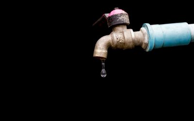 Drip Drip Boom: The Hidden Costs of Ignoring Small Plumbing Leaks