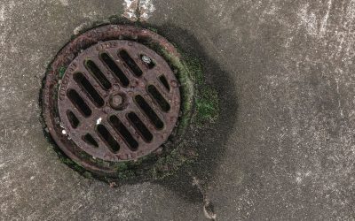 Flow Like a Pro: What to Expect During a Professional Drain Cleaning Service